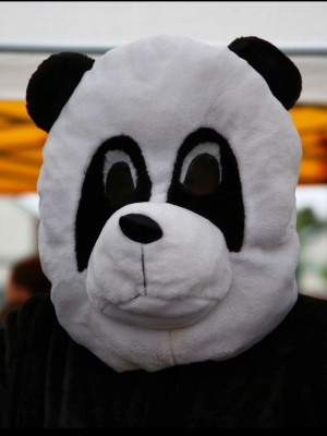 Walter the Panda - The Unbearably Good Mascot!