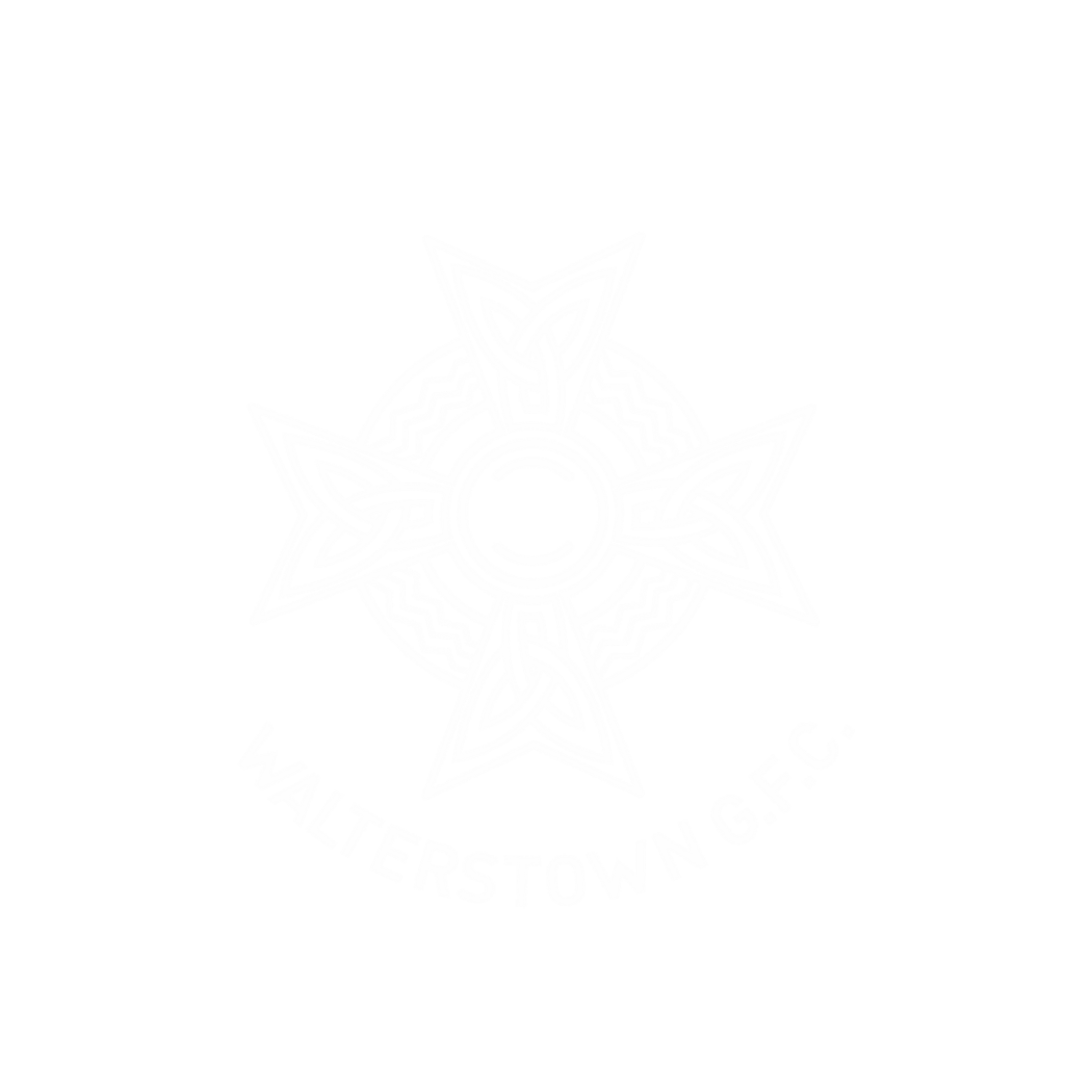 Walterstown GAA logo